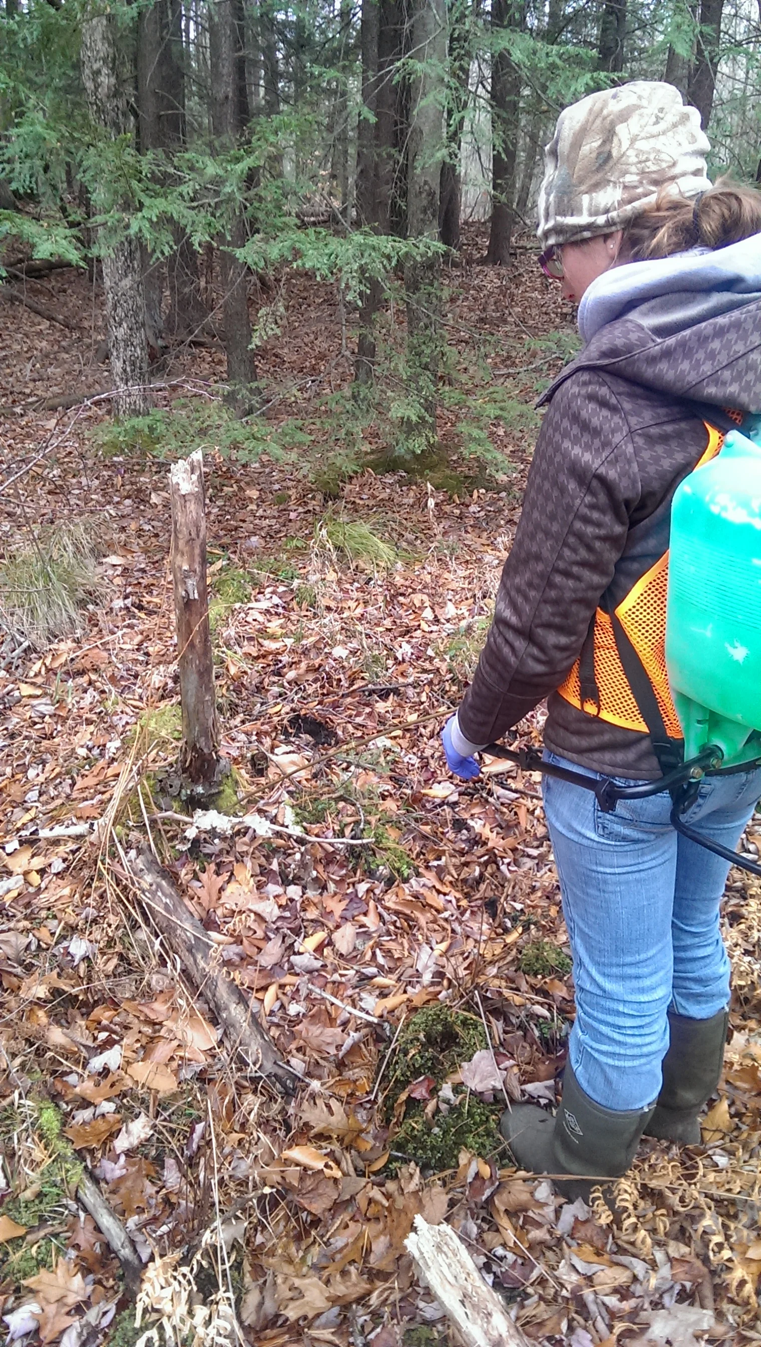 2013-11-12 11.24.49.jpg