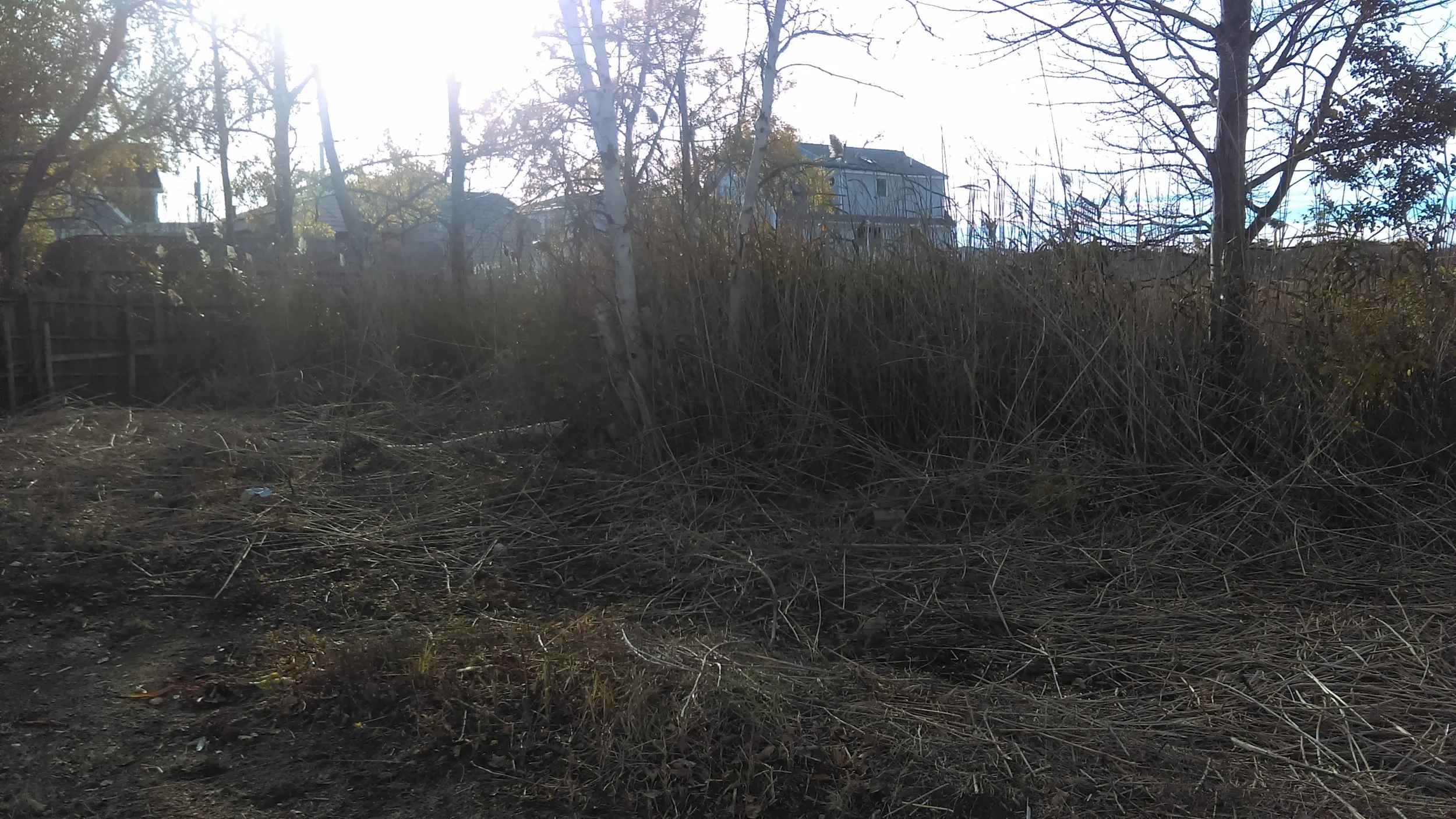 Before