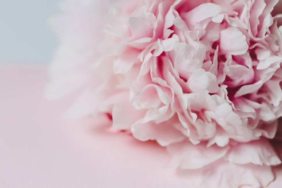 ...Blumen und Pastelltöne.