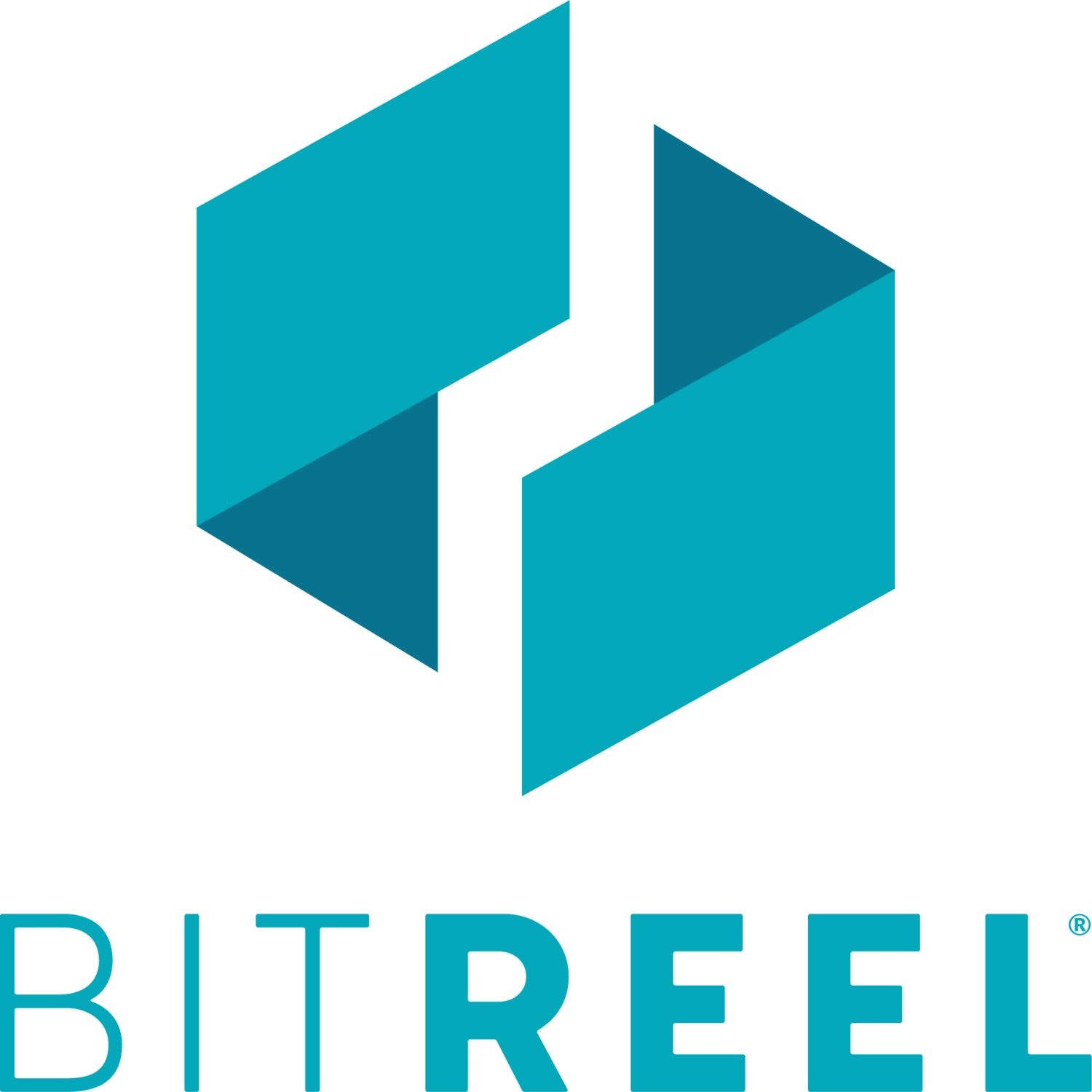 bitreel.png