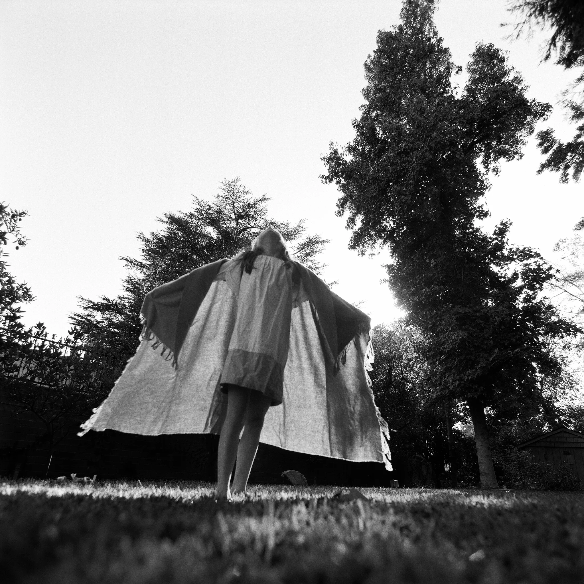 Hand-printed and toned by artist, Silver Gelatin b/w, 15 x 15 inches, 38.1 x 38.1 cms. NOB11SQ01, Edition of 5