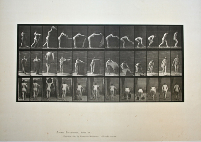 EadweardMuybridge.png