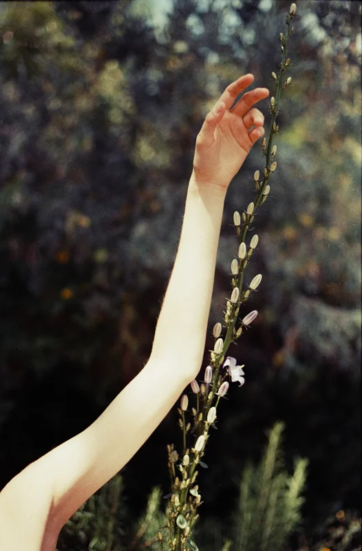 Untitled Archival Pigment print on Hahnemuehle PhotoRag, 24 x 20 inches, 60.96 x 50.8 cms, HCA15SQ28, Edition of 5