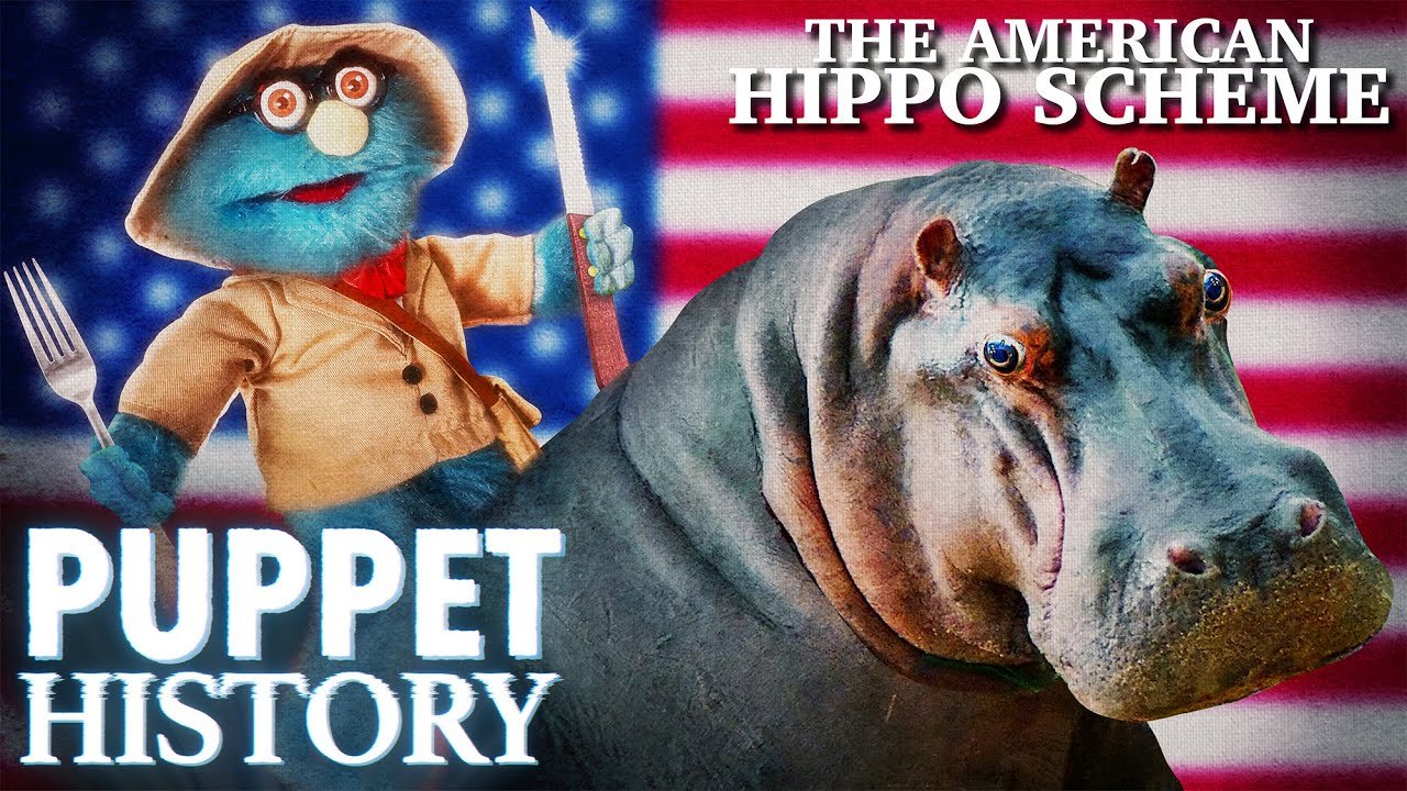 PH_Hippos.jpeg