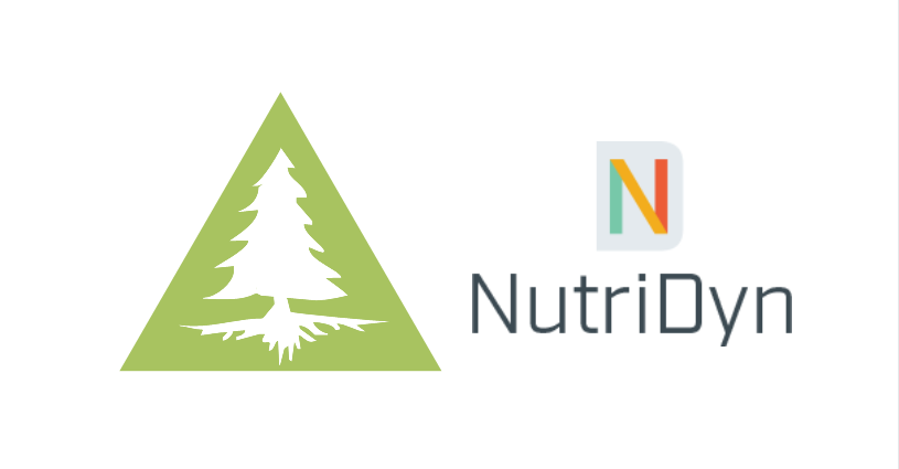 tree nutidyn 2.png