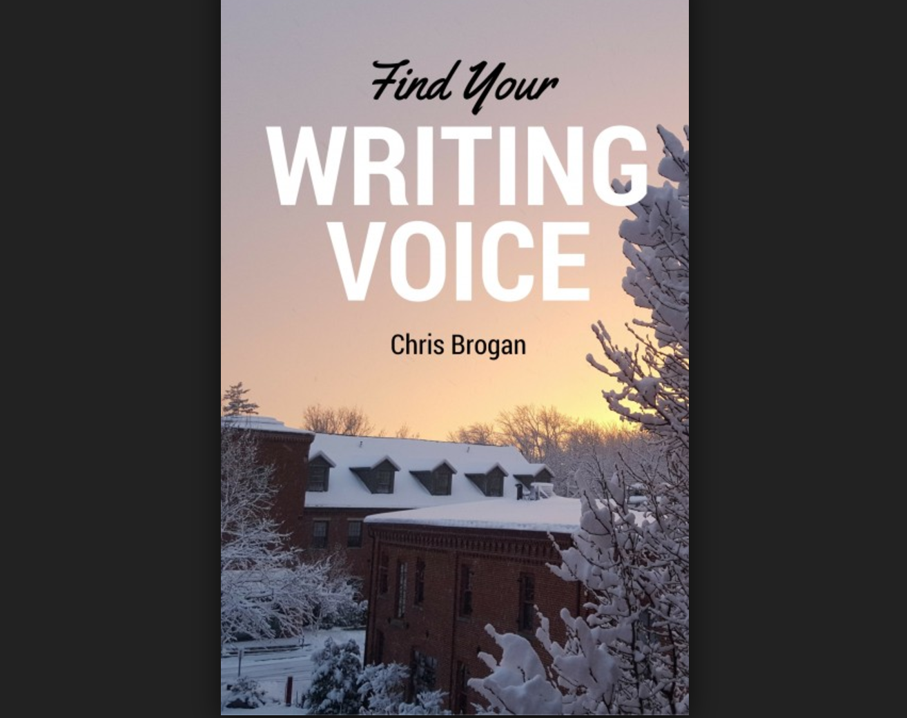 Find Your Writing Voice - Chris Brogan
