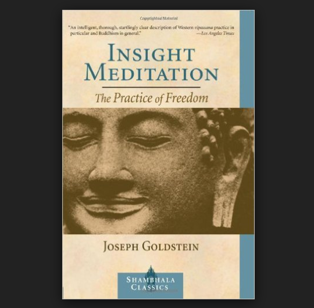 Insight Meditation - Joseph Goldstein