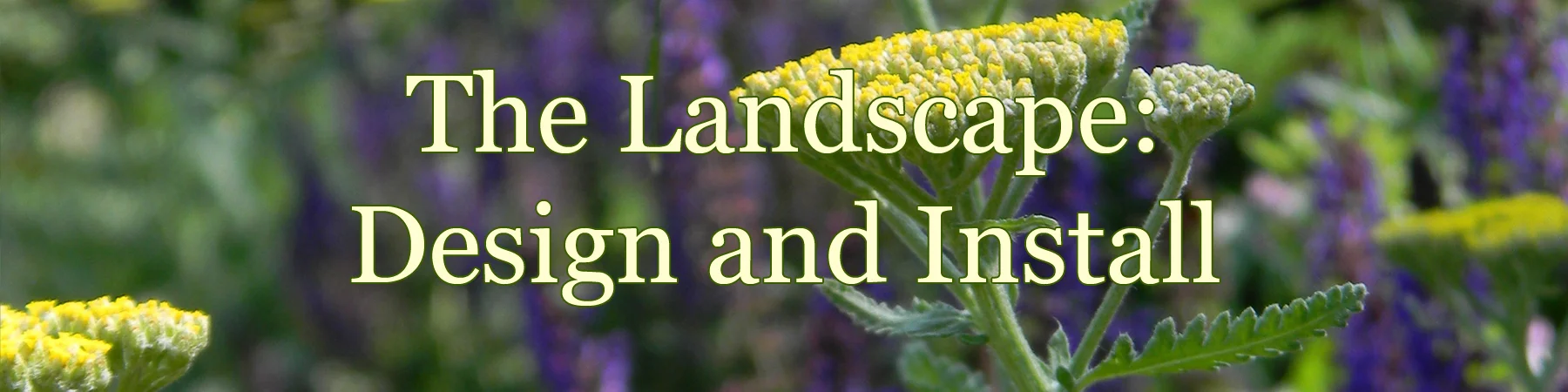 landscape-design-danner.jpg