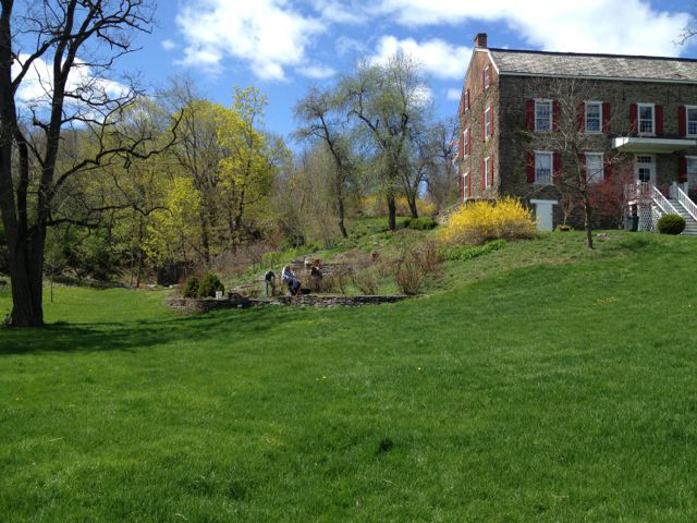 Early Spring Pruning