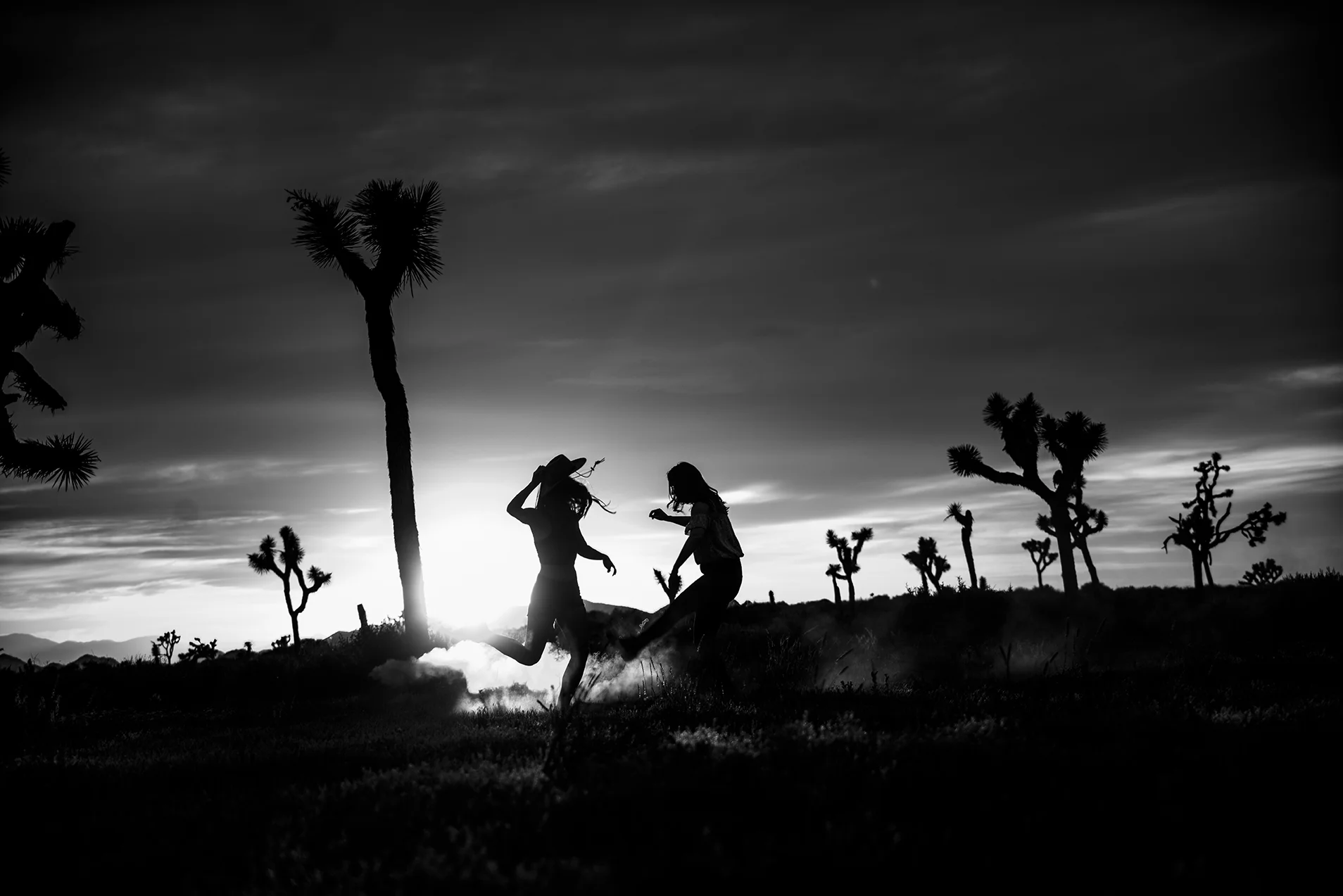 CMTrebrand_JoshuaTree2-518-2_web.jpg