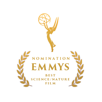 Emmys