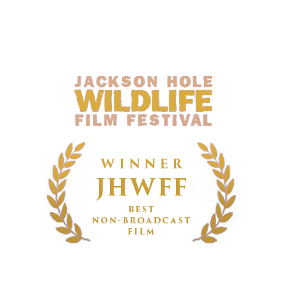 Jackson Hole Wildlife