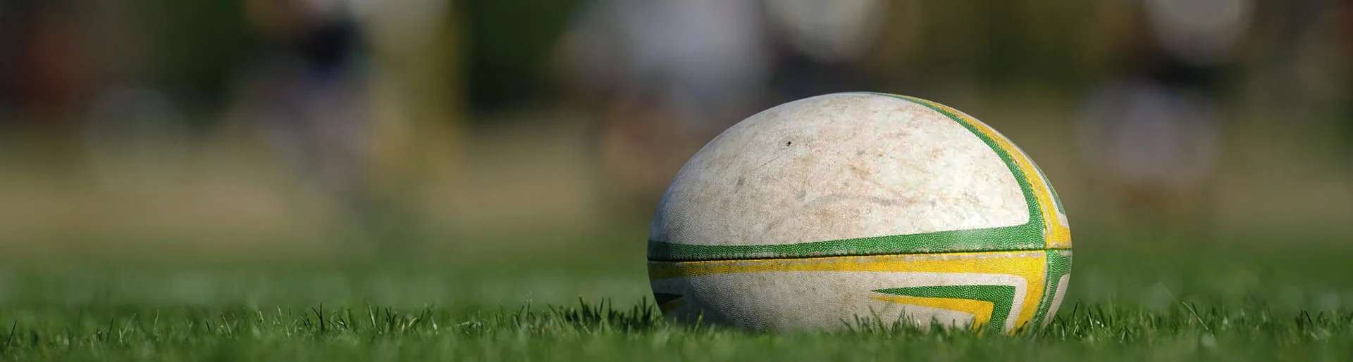 rugby-field.jpg