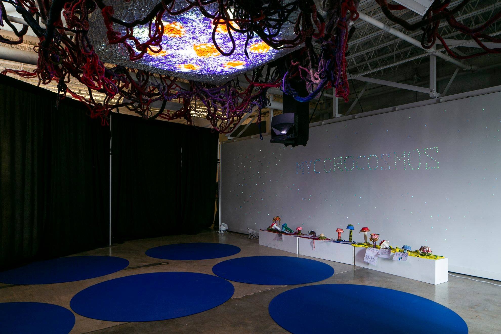  A mushroom planetarium,  MYCROCOSMOS:  Visitors will be invited to lay on the ground and look up at a ceiling screen of fiber mycelium. Netted cords and wrapped coils were created by textile artists working with a local community knitting group.   P