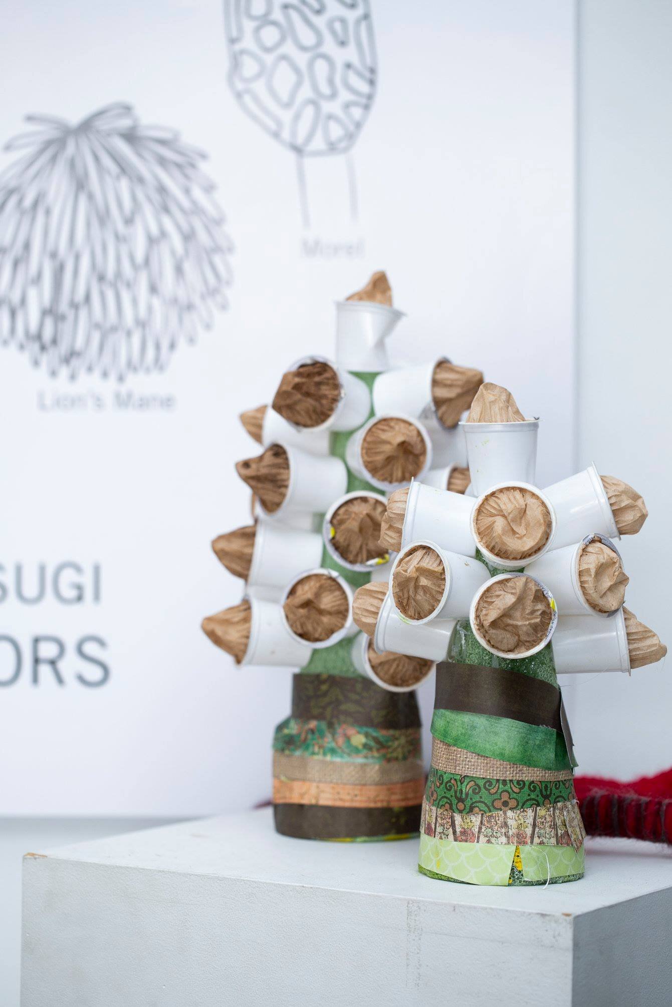  Mushroom sculptures created by local students.   Photograph by Karson Photography 