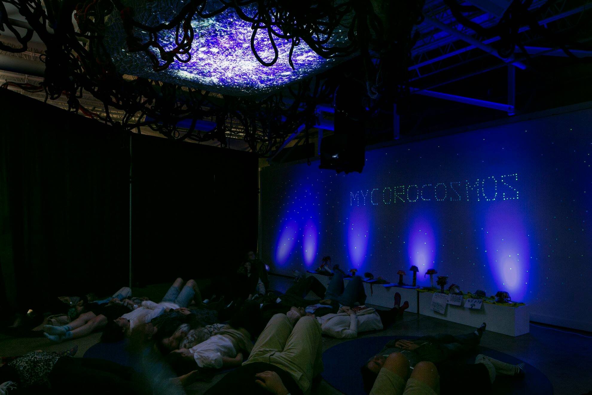  A mushroom planetarium,  MYCROCOSMOS:  Visitors will be invited to lay on the ground and look up at a ceiling screen of fiber mycelium. Netted cords and wrapped coils were created by textile artists working with a local community knitting group.   P