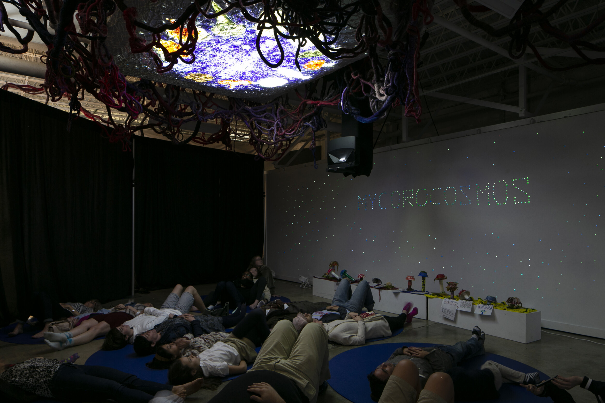  A mushroom planetarium,  MYCROCOSMOS:  Visitors will be invited to lay on the ground and look up at a ceiling screen of fiber mycelium. Netted cords and wrapped coils were created by textile artists working with a local community knitting group.   P