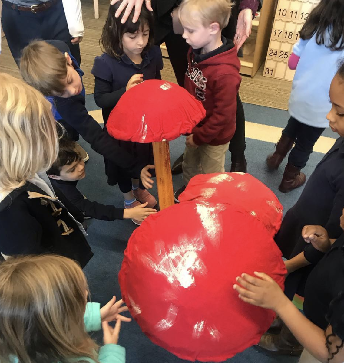  The teacher and students at James Simons Elementary School are working on a mushrooms curriculum in preparation for THE FUNGUS AMONG US, opening March 14  @reduxartcenter . The students are studying mycelium, growing mushroom logs and making 🍄 scul