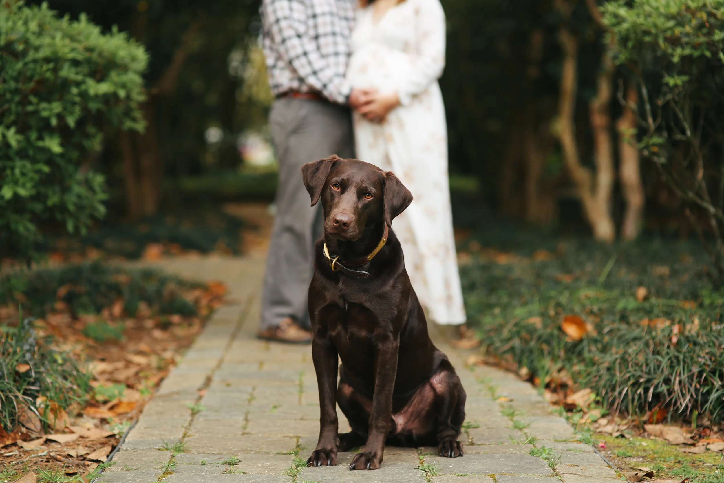 The Cormiers Maternity Session