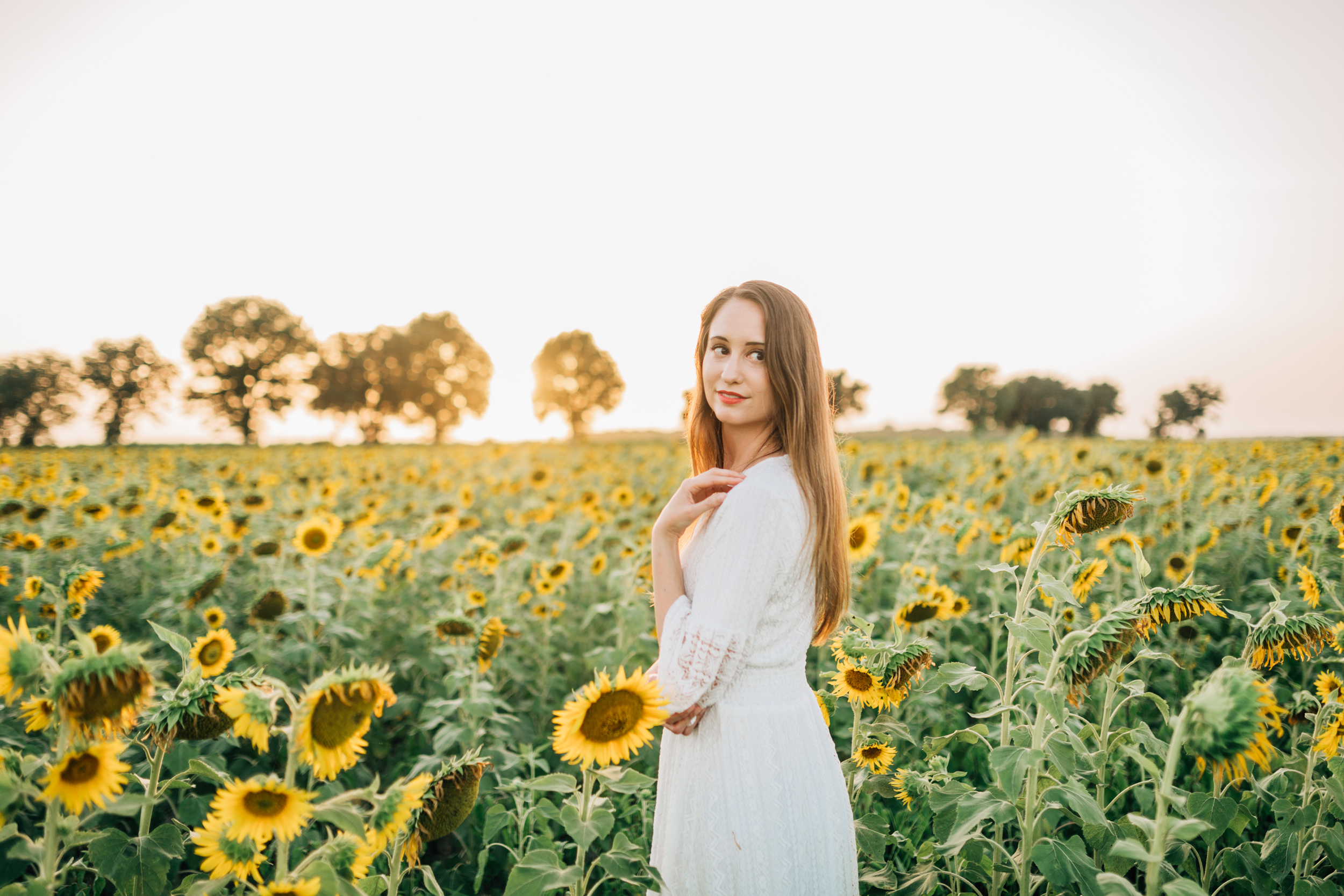 Jennifer's Sunflower Session