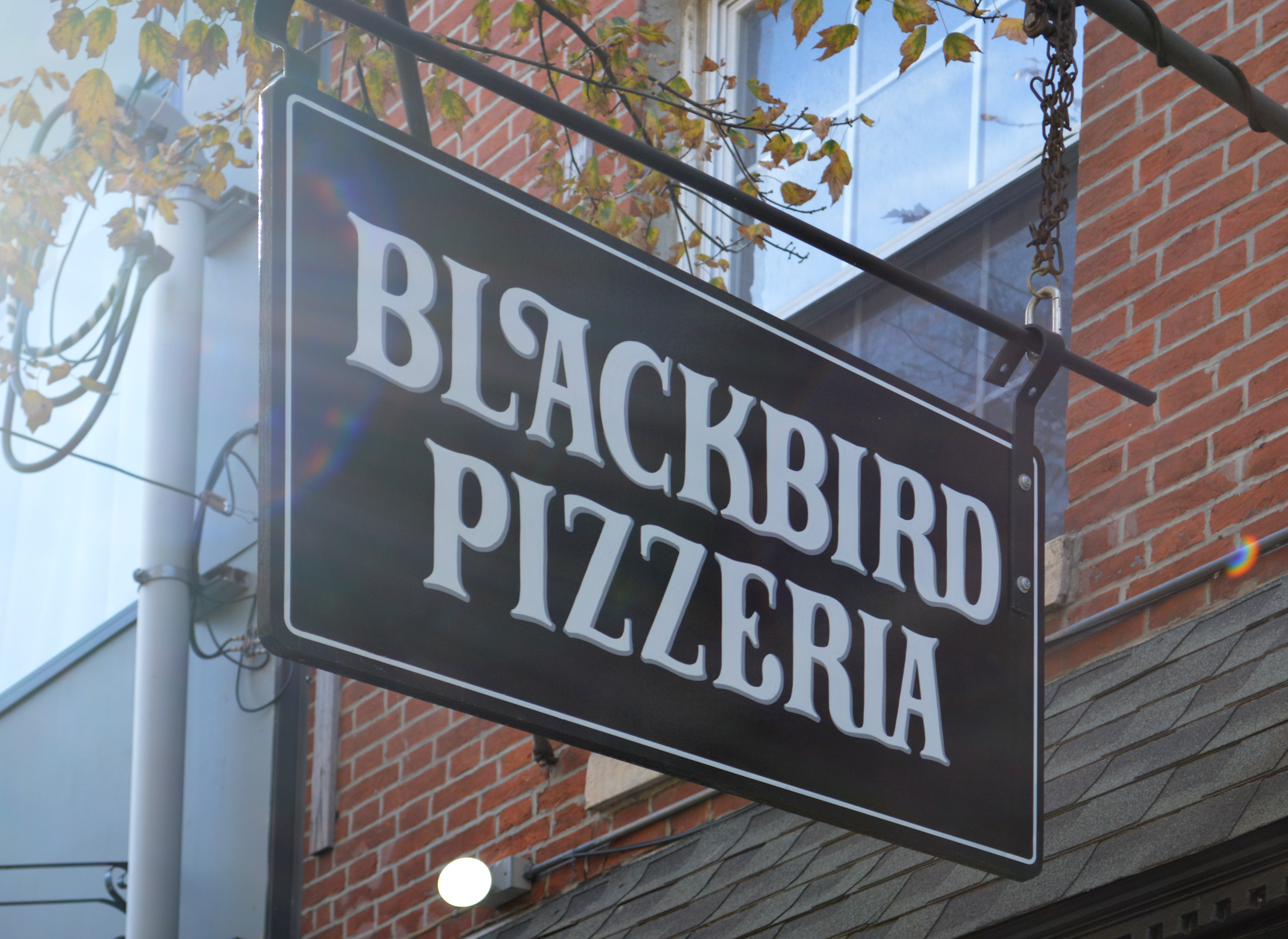 Sign Painting by Marissa Cianciulli, Super Signs.