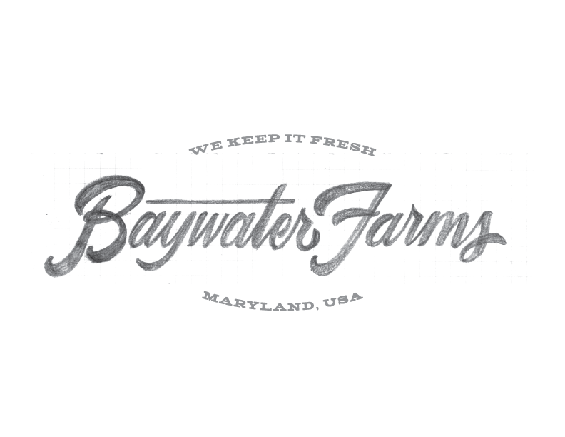 BaywaterFarms_LogoSketch_No1.png