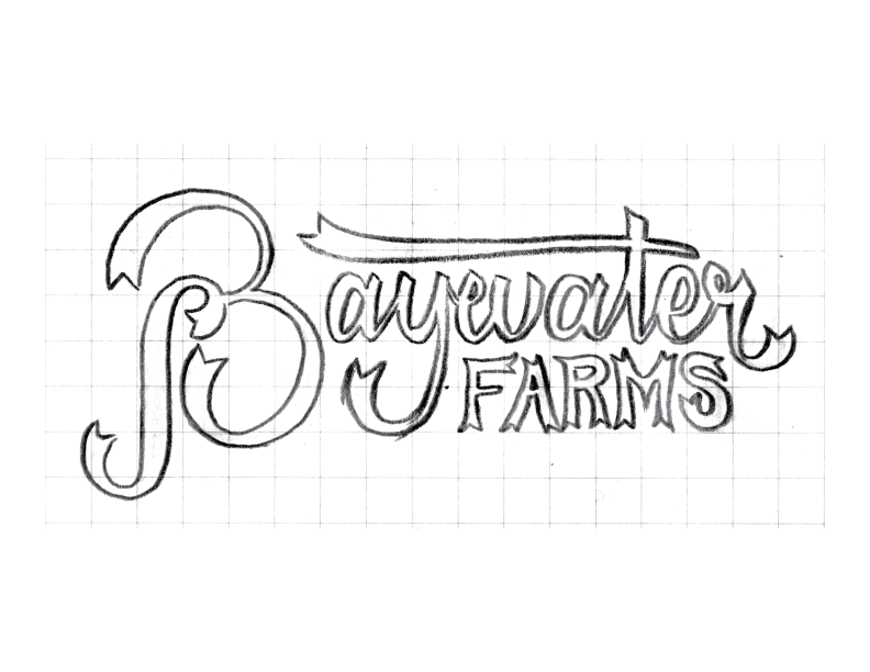 BaywaterFarms_LogoSketch_No4.png