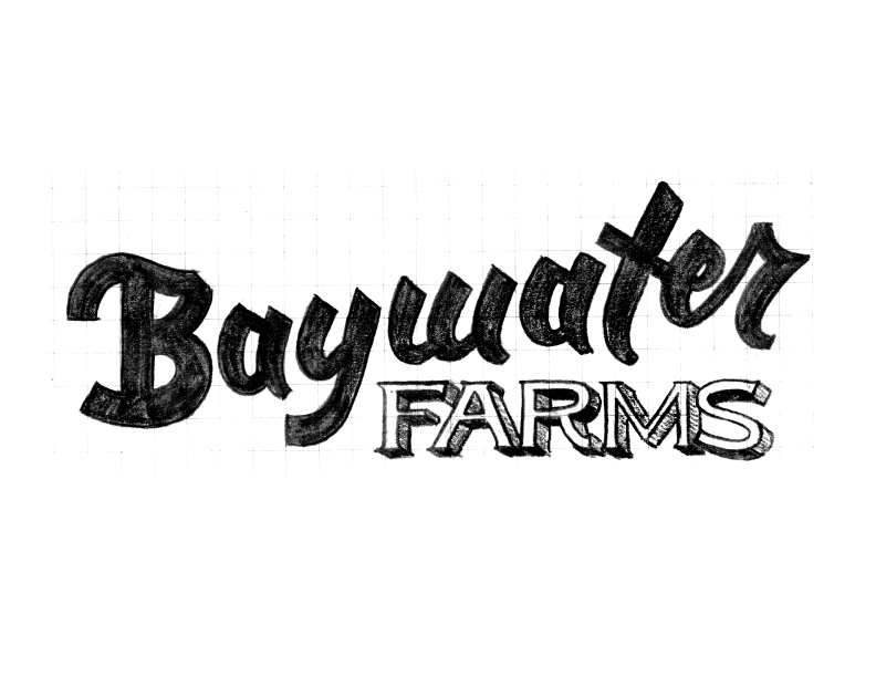 BaywaterFarms_LogoSketch_No5.png