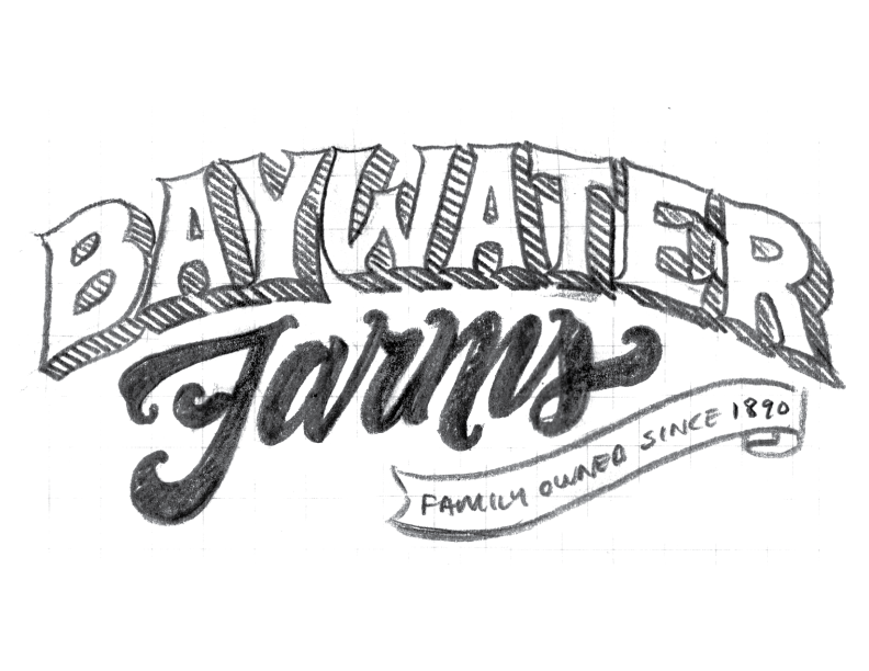 BaywaterFarms_LogoSketch_No3.png