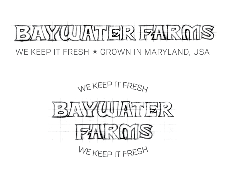 BaywaterFarms_LogoSketch_No6.png