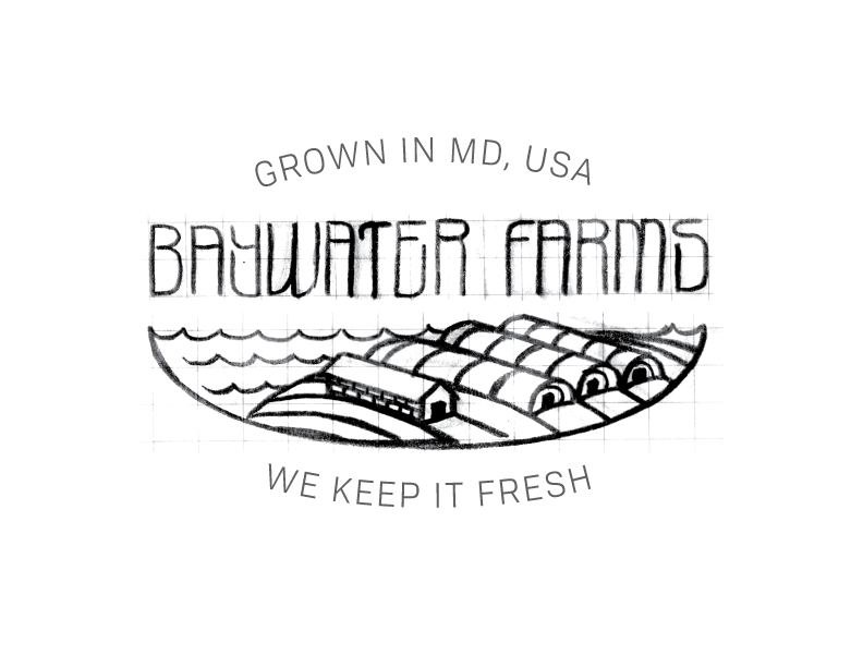 BaywaterFarms_LogoSketch_No7.png