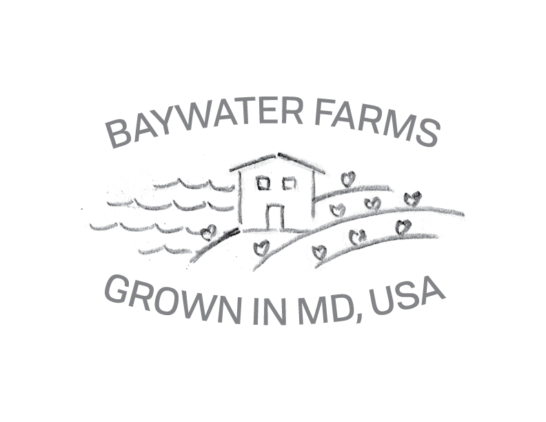 BaywaterFarms_LogoSketch_No8.png