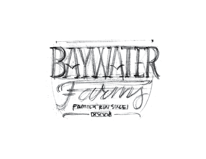BaywaterFarms_LogoSketch_No11.png
