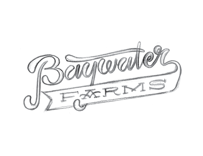 BaywaterFarms_LogoSketch_No10.png