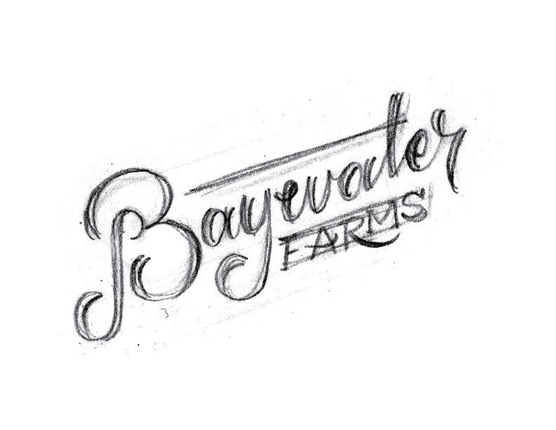 BaywaterFarms_LogoSketch_No12.png