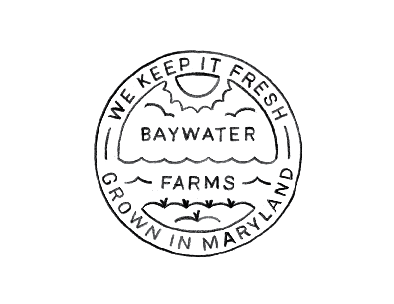 BaywaterFarms_LogoSketch_No13.png