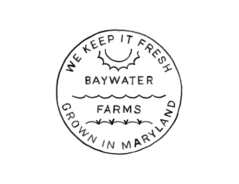 BaywaterFarms_LogoSketch_No15.png