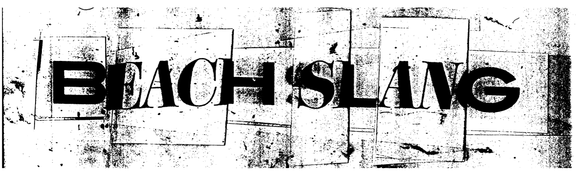 BS-TYPE_3.png