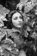 Classic Beauty, Claire Mallett
