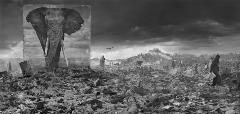 Wasteland with Elephant, 2015 by Nick Brandt