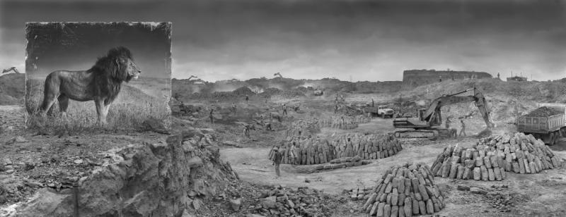 Quarry with Lion, 2014 by Nick Brandt