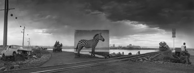 Road to Factory with Zebra, 2014 by Nick Brandt