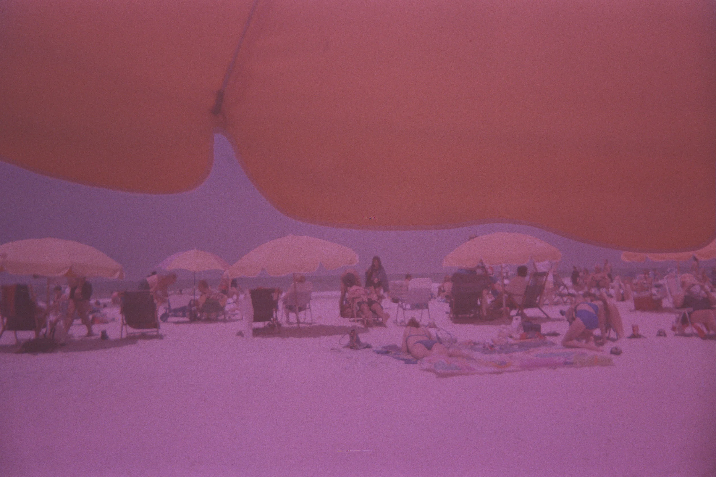 Lost Rolls America With VII Agency Photographer Ron Haviv And Nyu Professor Lauren Walsh