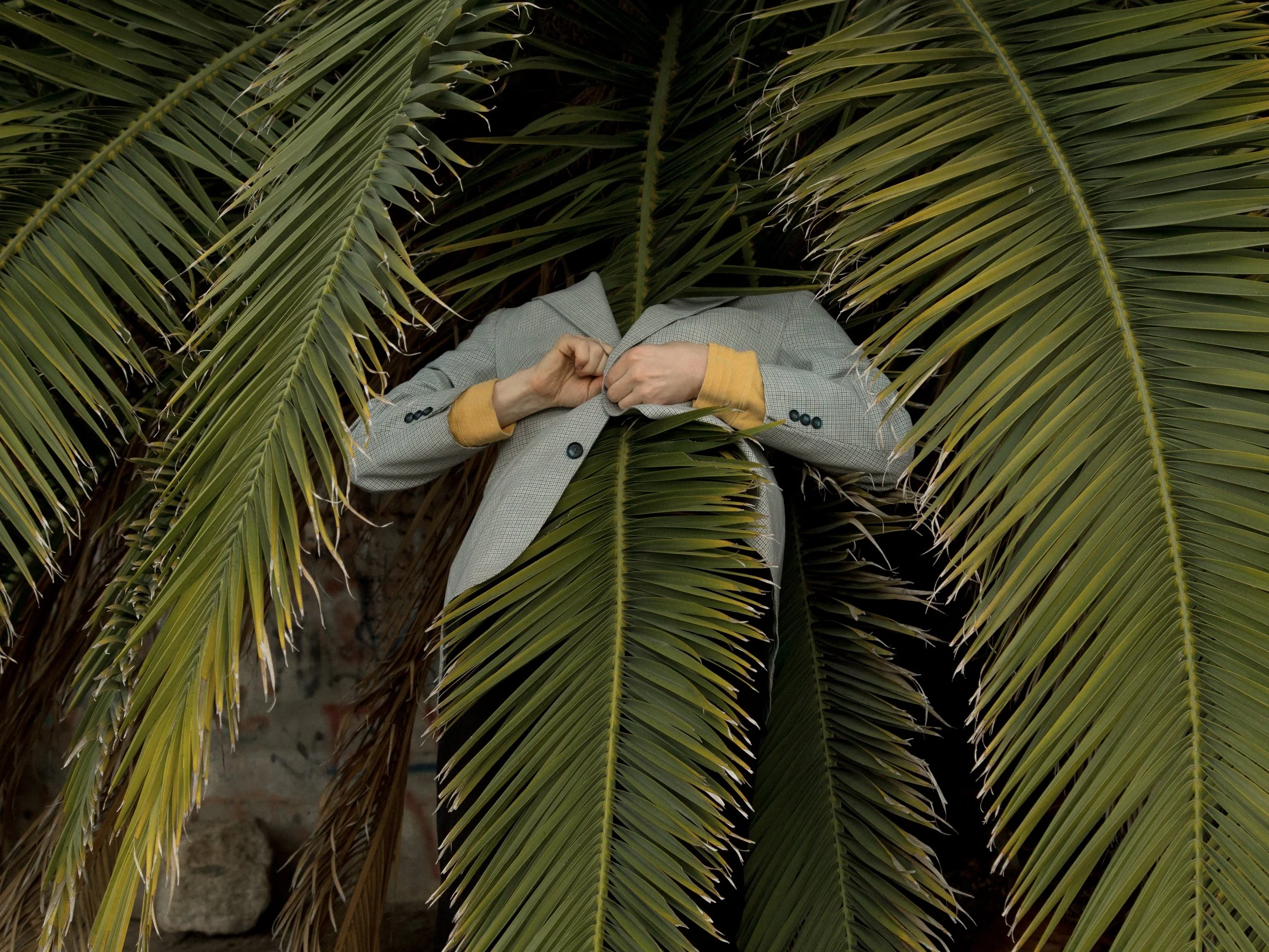 MOPLA x The LINE: Ben Zank