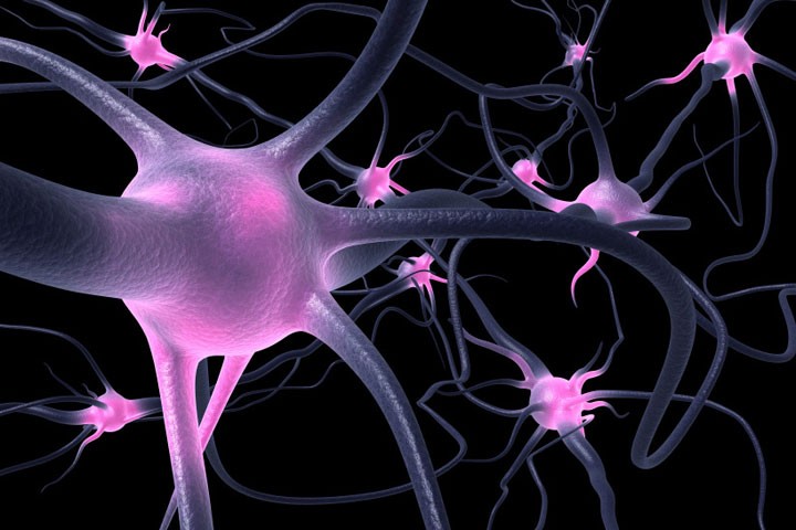 High Performance Image.jpg