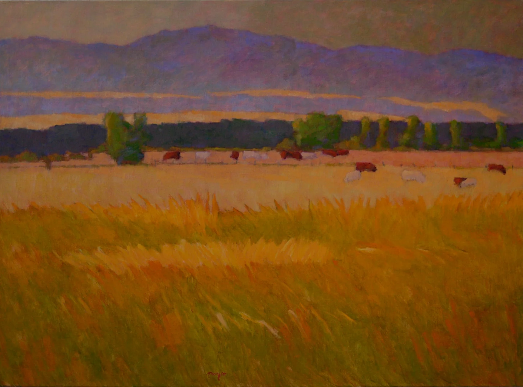 Doggie Park, oil on canvas, 25 x 34