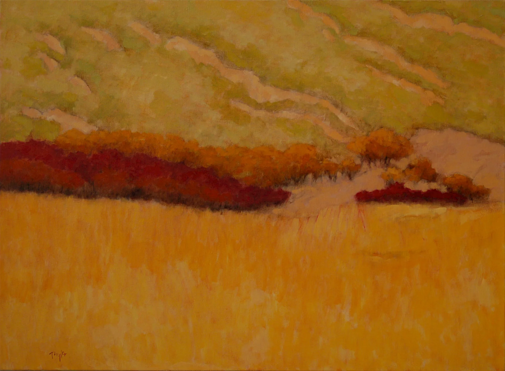 Badgerland, 25 x 34, oil on linen
