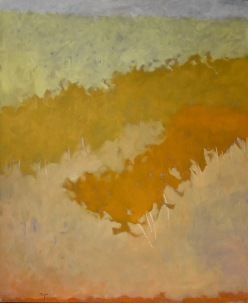  Pillow, 40 × 33, oil on linen 
