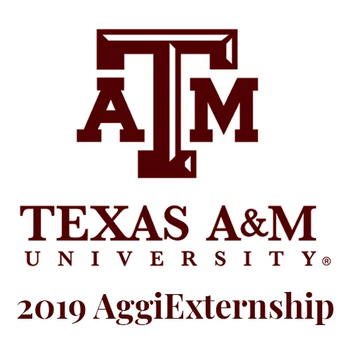 AggiExternship.jpg