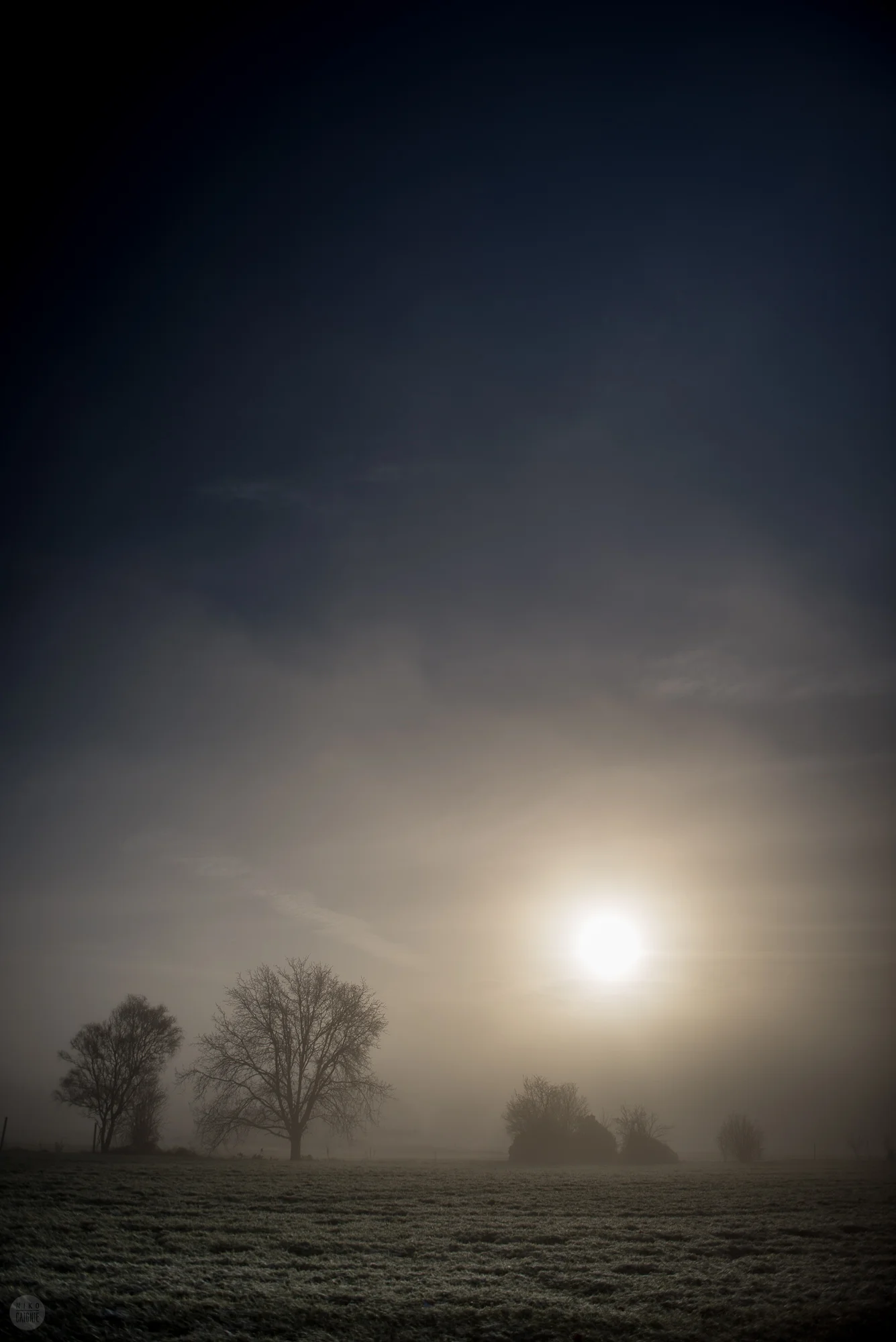 Misty-0529.jpg